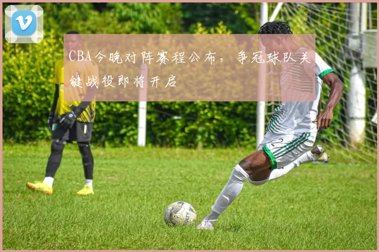 CBA今晚对阵赛程公布，争冠球队关键战役即将开启