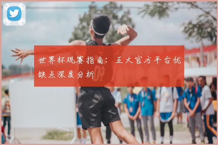 世界杯观赛指南：五大官方平台优缺点深度分析