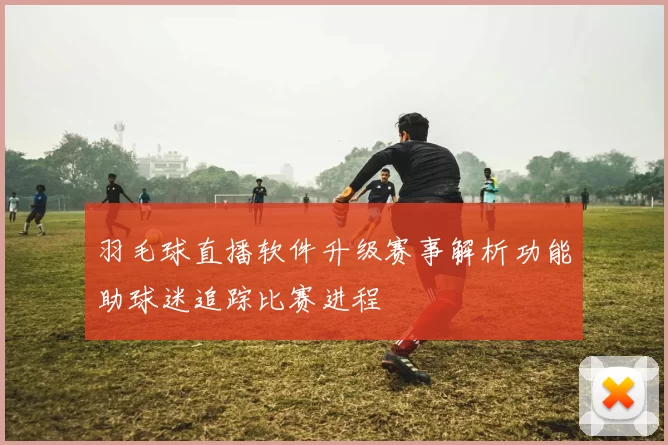 羽毛球直播软件升级赛事解析功能助球迷追踪比赛进程