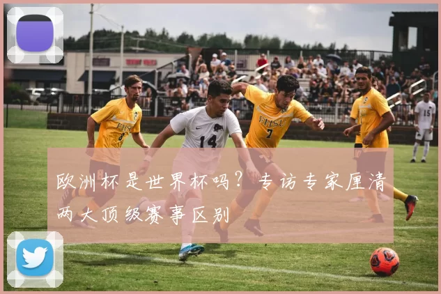 欧洲杯是世界杯吗?专访专家厘清两大顶级赛事区别