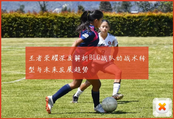 王者荣耀深度解析BLG战队的战术转型与未来发展趋势