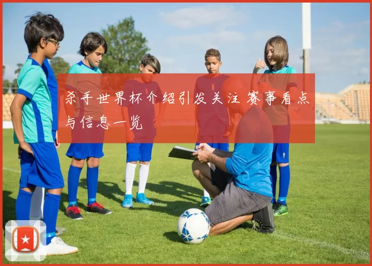 杀手世界杯介绍引发关注 赛事看点与信息一览