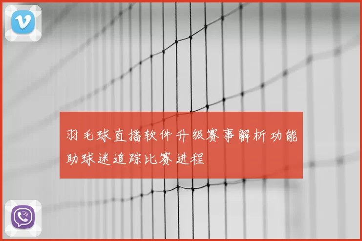 羽毛球直播软件升级赛事解析功能助球迷追踪比赛进程