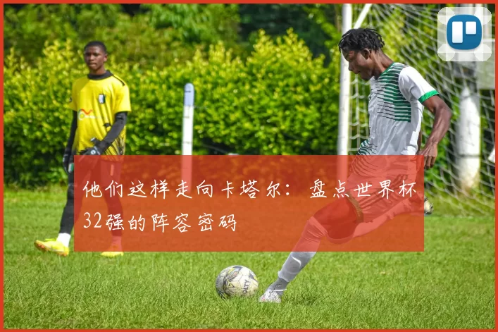 他们这样走向卡塔尔：盘点世界杯32强的阵容密码