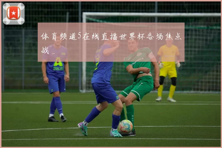 体育频道5在线直播世界杯各场焦点战