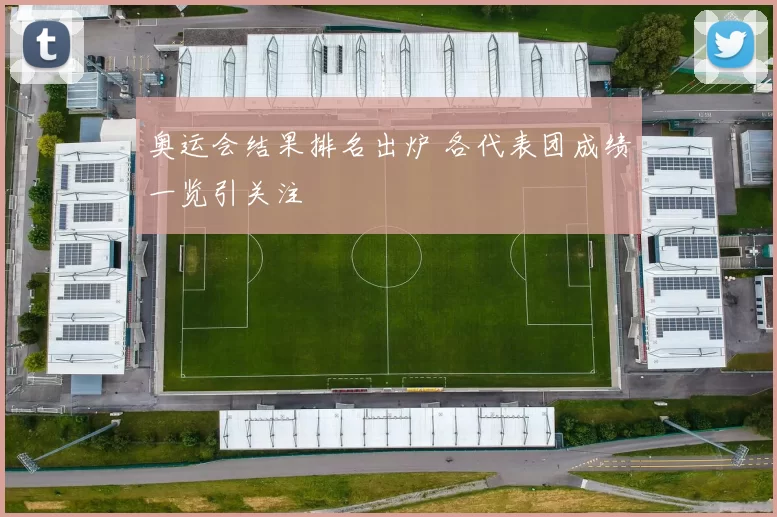 奥运会结果排名出炉 各代表团成绩一览引关注