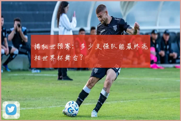 揭秘世预赛:多少支强队能最终亮相世界杯舞台?