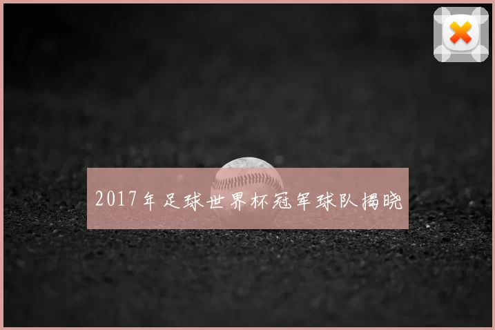 2017年足球世界杯冠军球队揭晓