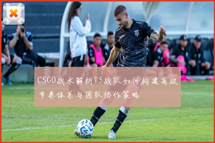 CSGO战术解析V5战队如何构建高效节奏体系与团队协作策略