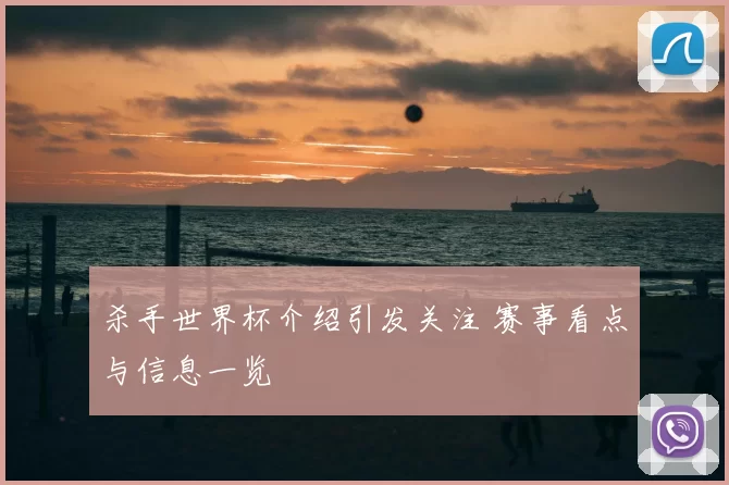 杀手世界杯介绍引发关注 赛事看点与信息一览