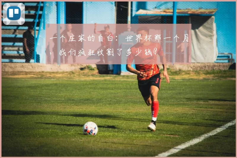一个庄家的自白：世界杯那一个月，我们疯狂收割了多少钱？