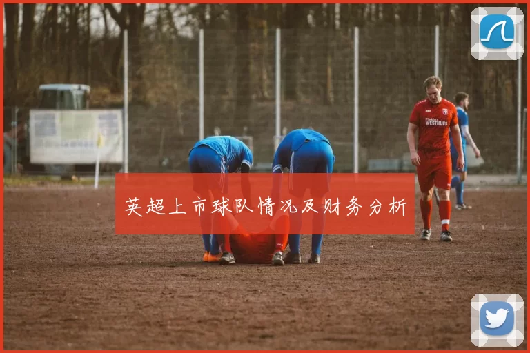 英超上市球队情况及财务分析