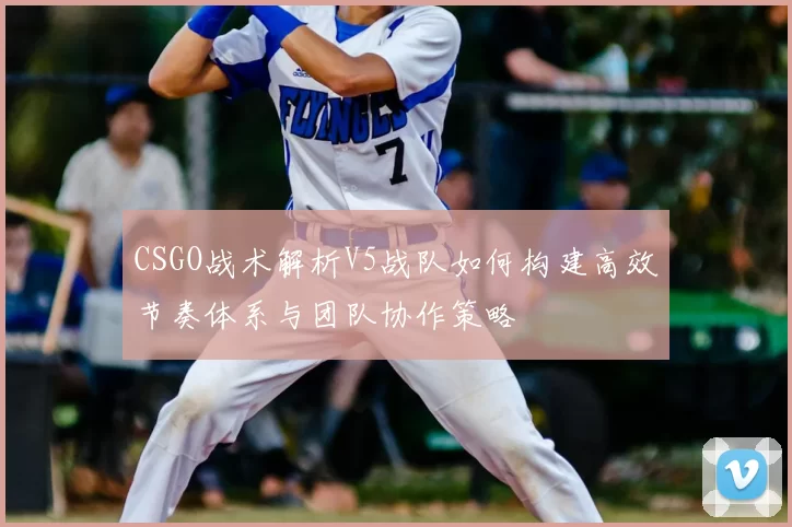 CSGO战术解析V5战队如何构建高效节奏体系与团队协作策略